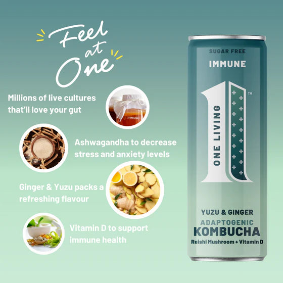 One Living Plus Immune Kombucha 250ml - Case of 12 [Best Before: 13/04/2026]